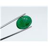 Image 3 : BIG EXCEPTIONAL EMERALD 13.310 ct.