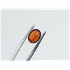 Image 3 : 1.57 ct. SPESSARTITE GARNET