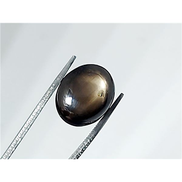 HUGE 6 RAYS STAR SAPPHIRE 13.35 ct.