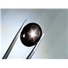 Image 2 : HUGE 6 RAYS STAR SAPPHIRE 13.35 ct.