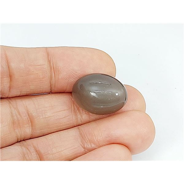 HUGE SILVER MOONSTONE "CAT's EYE " EFFECT  31.02 ct.