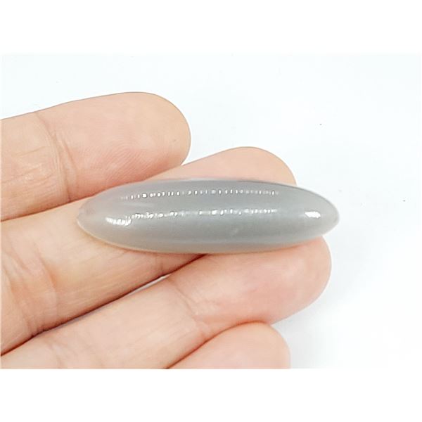 GIGANTIC SILVER MOONSTONE "CAT's EYE " EFFECT  46.895 ct.