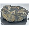 Image 3 : RICH VEIN GOLD ORE - HIGH VALUE AND HIGHLY COLLECTABLE - MIGHT HAVE 1 OZ. of GOLD