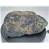 Image 4 : RICH VEIN GOLD ORE - HIGH VALUE AND HIGHLY COLLECTABLE - MIGHT HAVE 1 OZ. of GOLD