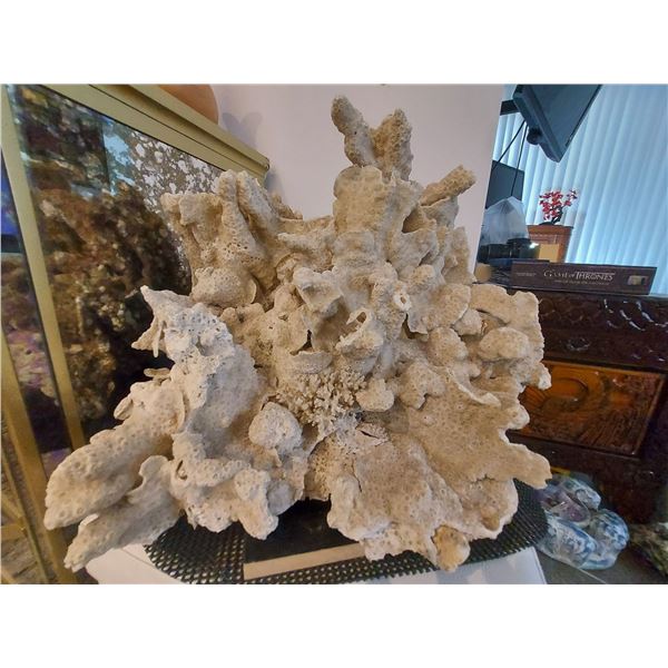 HUGE, HUGE CORAL     Only Pick-up or Local delivery. Unable to ship, due to big size and weight