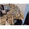 Image 2 : HUGE, HUGE CORAL     Only Pick-up or Local delivery. Unable to ship, due to big size and weight