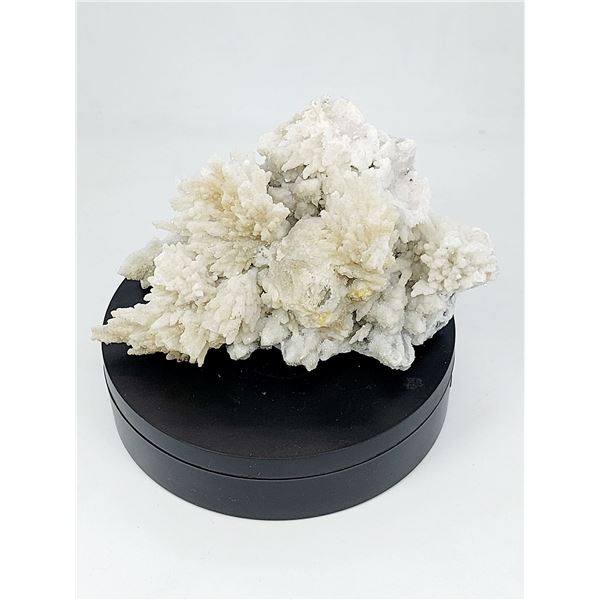 CHRYSANTHEMUM MORIFOLIUM QUARTZ CLUSTER WITH GALENA