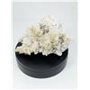 Image 1 : CHRYSANTHEMUM MORIFOLIUM QUARTZ CLUSTER WITH GALENA