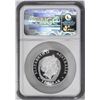 Image 2 : 2016P $1 Australia Wedge-Tailed Eagle High Relief Coin NGC PF70 Ultra Cameo Mercanti