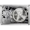 Image 1 : 1995 $1 American Silver Eagle Coin & 2oz Silver Bar Set
