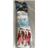 Image 1 : Air Hogs Titan - Massive Stunt Glider