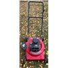 Image 11 : Mastercraft Lawnmower