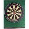 Image 2 : Dart board with backing 