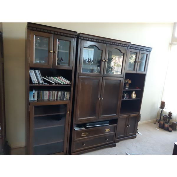 Entertainment Unit Cat C