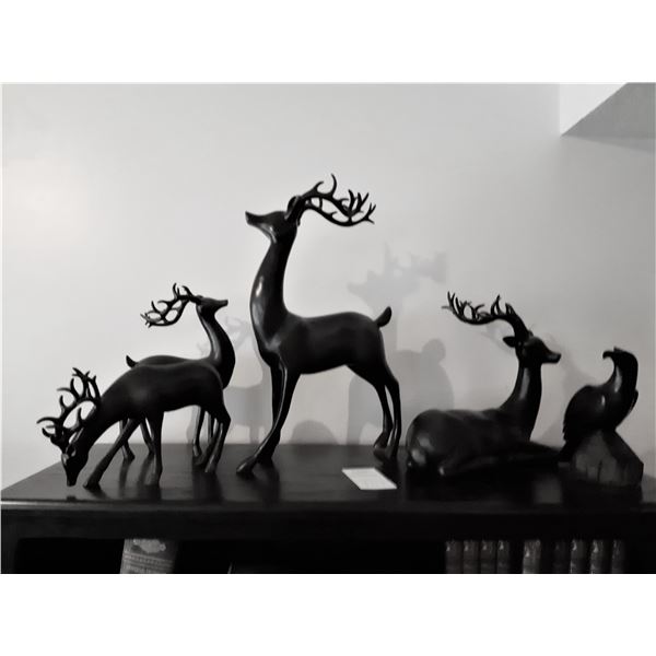 Decor Annimals Cat B