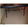 Image 4 : Ping Pong Table Cat C