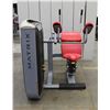 Image 1 : MATRIX ABDOMINAL CRUNCH MACHINE