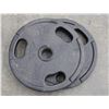 Image 1 : TWO 35 POUND PLATES