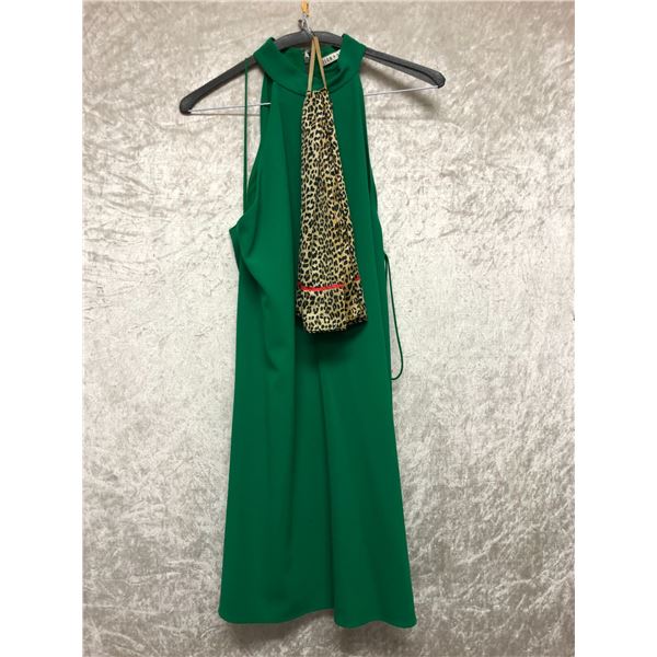 "Superheroes Show" Season 6 EP 3 #4 Hero outfit - includes green dress w/ cheetah scarf