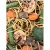 Image 2 : "The horror show" - Metal wok w/ shrimp noodles Prop
