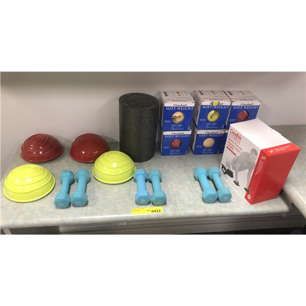 Group of misc. fitness items - includes dumbbells/ balance push ups/ soft weight balls etc.