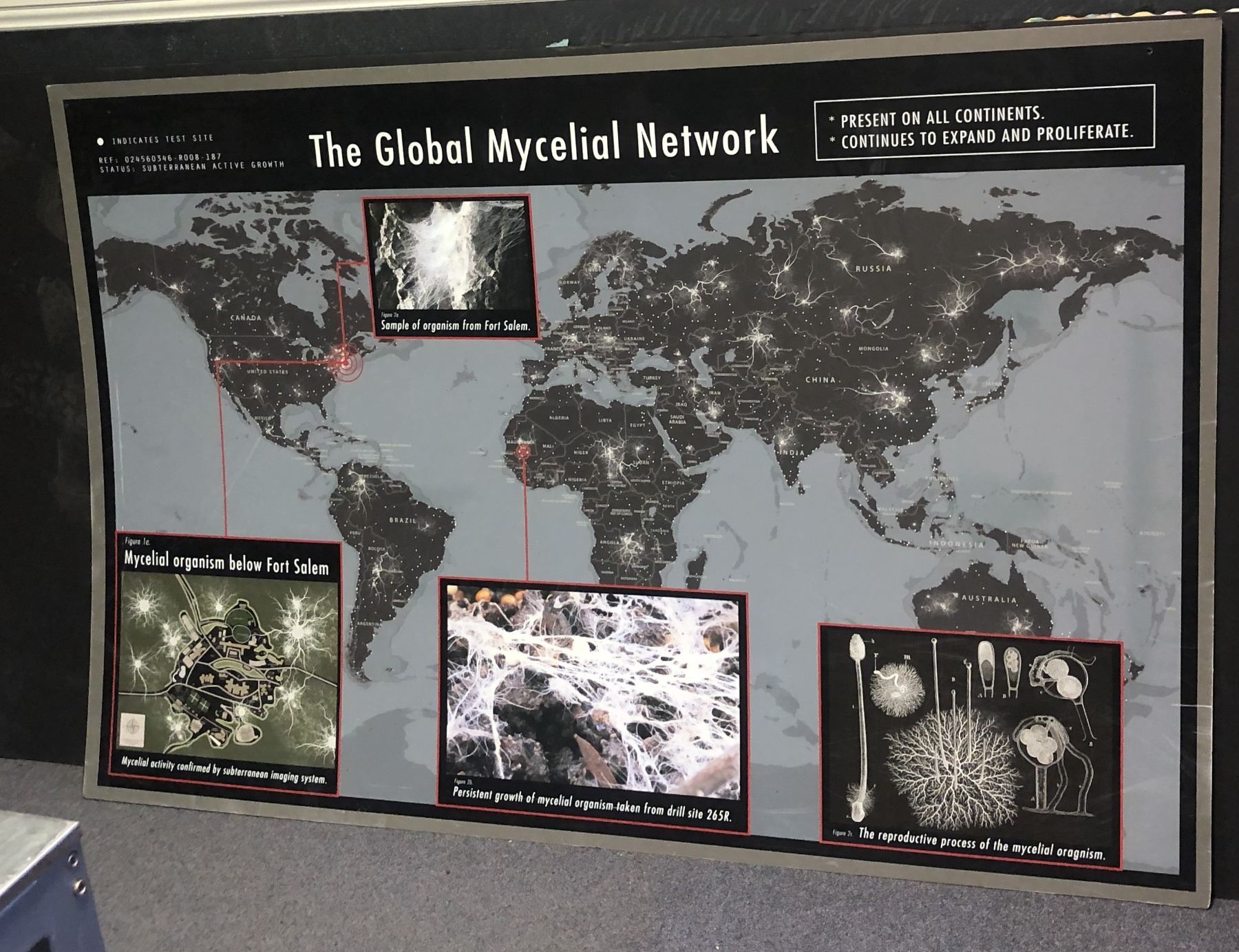 "Motherland Fort Salem" - The Global Mycelial Network map (approx 6 ft