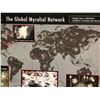 Image 2 : "Motherland Fort Salem" - The Global Mycelial Network map (approx 6 ft wide x 4 ft)