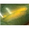Image 2 : "Snowpiercer" - Light-up fish display sign (approx 18 x 15 inches)