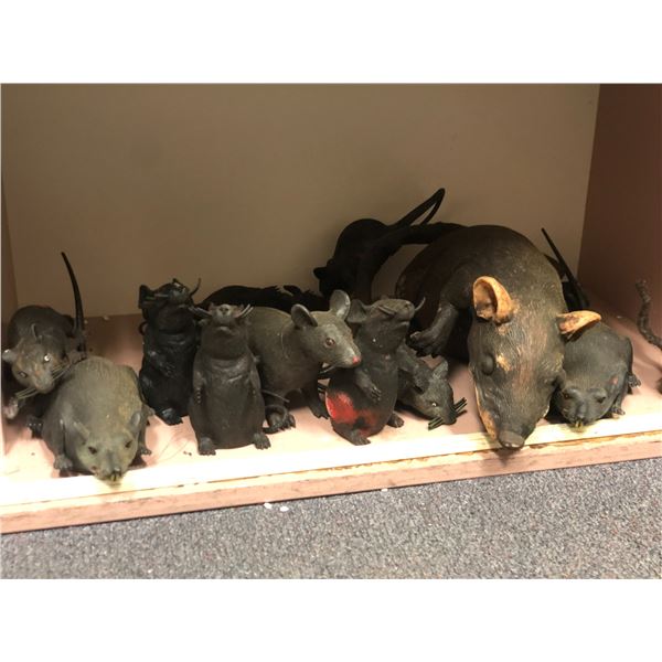 Large group of assorted sized prop rats