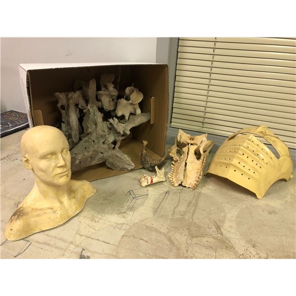 Group of assorted set dec props - includes assorted bones/plastic masks/human head sculpture etc.