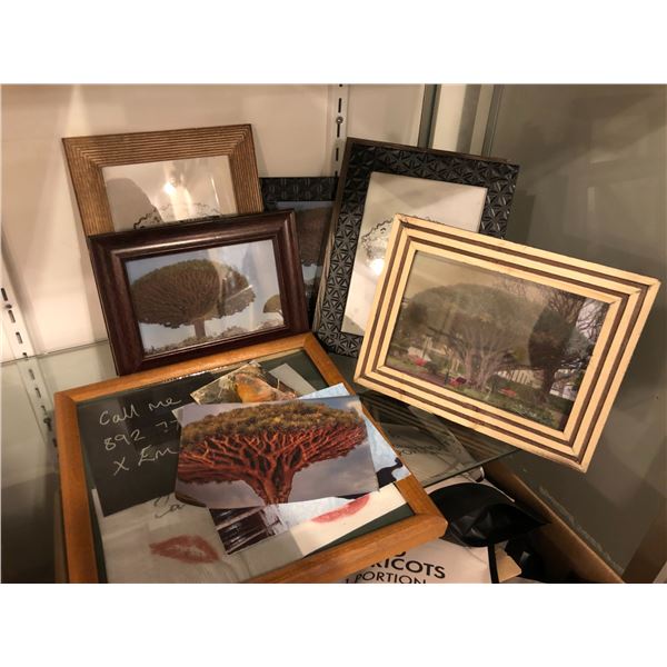 "Snowpiercer" - Group of framed pictures of New Eden Tree