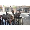 Image 1 : HINDLEY COLLECTIONS BY BIG SKY CARVERS DUCK DECOY, CARVED WOOD WATER BUFFALO & ANTELOPE FIGURES (3 P