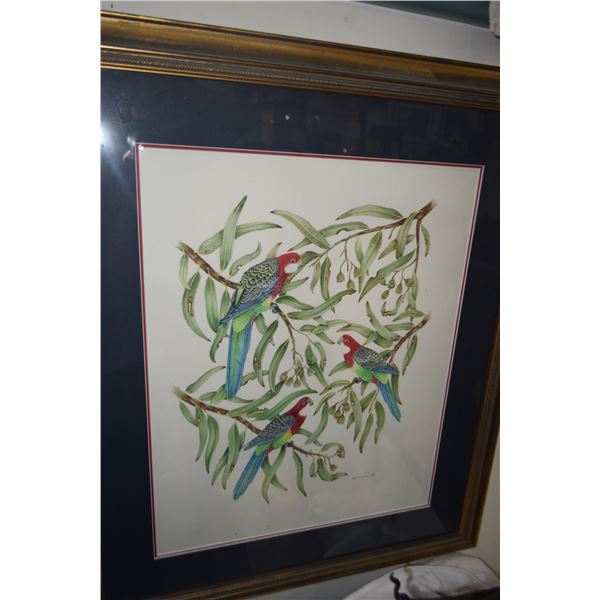 FRAMED WATERCOLOR PAINTING, PARROTS; SIGNED JOEL CARLSON 1990