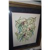 Image 1 : FRAMED WATERCOLOR PAINTING, PARROTS; SIGNED JOEL CARLSON 1990