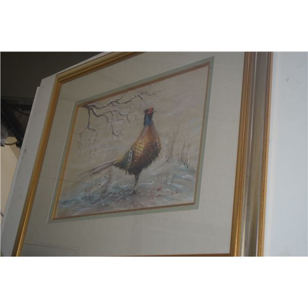 FRAMED IRISH PASTEL DRAWING ON PAPER, "PHEASANT", DEPICTING A COLORFUL PHEASANT STANDING BENEATH A B