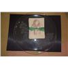 Image 1 : 14 1/4" PLUMERIA ETCHED CHARGER & JOHN YOUNG CARDS (11 PCS)