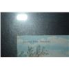 Image 2 : FRAMED POSTCARDS: COUNTRY CLUB HONOLULU, OAHU COUNTRY CLUB EMBROIDERED PIN & METAL GOLF BAG TAG (3 P