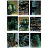 Image 3 : Melting Pot 1993 Comic Images Trading Cards - 26 Cards - Three Copies of #28 Jokk and Tookaa 1 Green