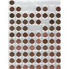 Image 2 : Sheet of Pennies , Canadian