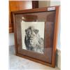 Image 1 : Lion Print 185 / 450 Carl Brenders 1997