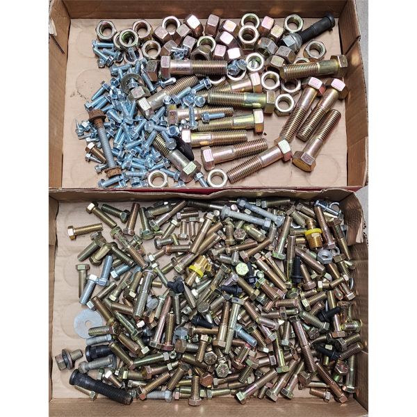 2 FLATS ASST. BOLTS  / NUTS