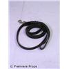 Image 1 : P2 Thomas (Wes Bentley) Leash Movie Props
