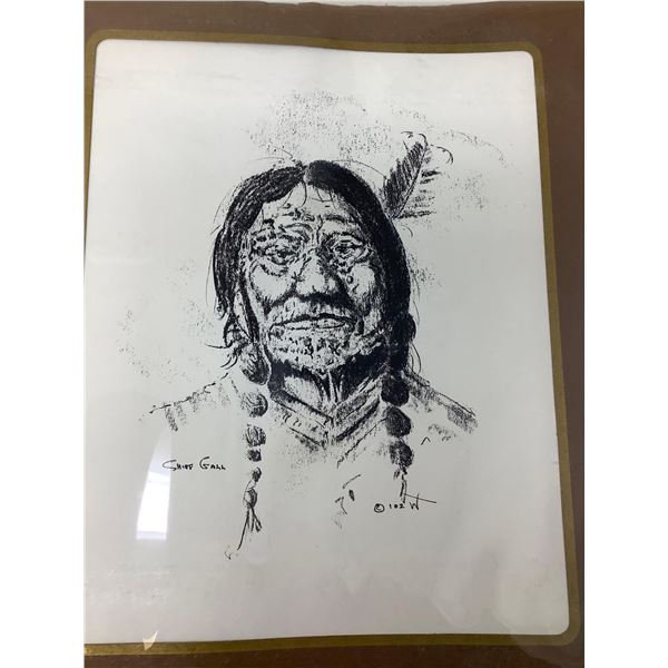 Indigenous Lithograph 8x10 - Chief Gall 102