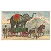 Image 1 : Trade card, Moline Wagon Co.-Moline, IL, large card w/colorful circus graphics by Gies & Co. Lithogr