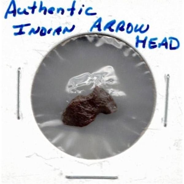 Indian Arrowhead