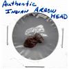 Image 1 : Indian Arrowhead