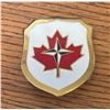 Image 1 : 1960s NATO Unit Badge