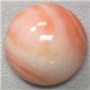 Image 1 : 50 CTS NATURAL ITALIAN CORAL CABOCHON 24 MM - HALF DRILLED