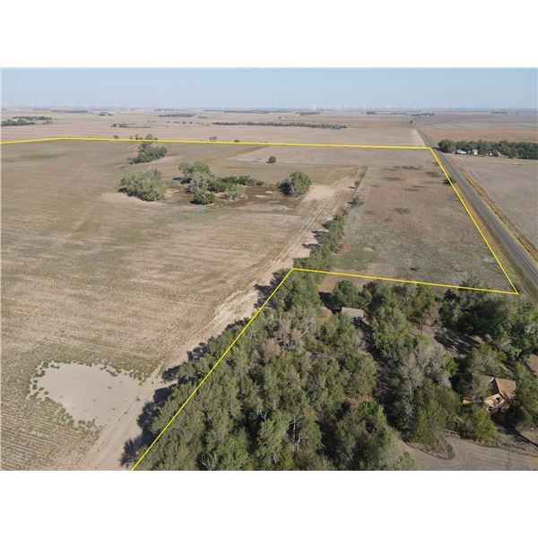 156 +/ Acres Pratt County KS Dryland