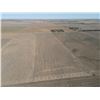 Image 2 : 80 +/- Acres Dryland